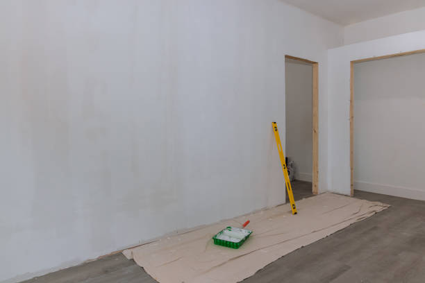 Best Mold Prevention Services  in De Pue, IL