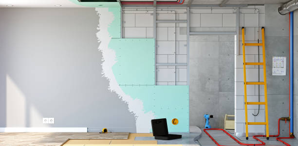 Best Emergency Mold Remediation  in De Pue, IL