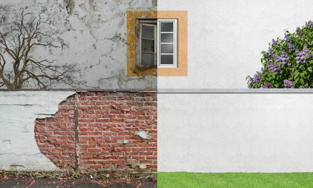 De Pue, IL Mold Removal Company