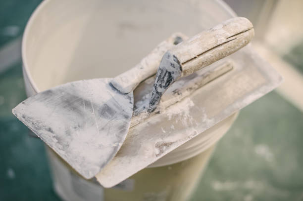 Best Mold-Related Health Consultation  in De Pue, IL
